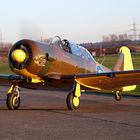 Harvard T6 D-FAME von Josef Schumacher