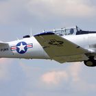 Harvard T6 D-FUKK Take off