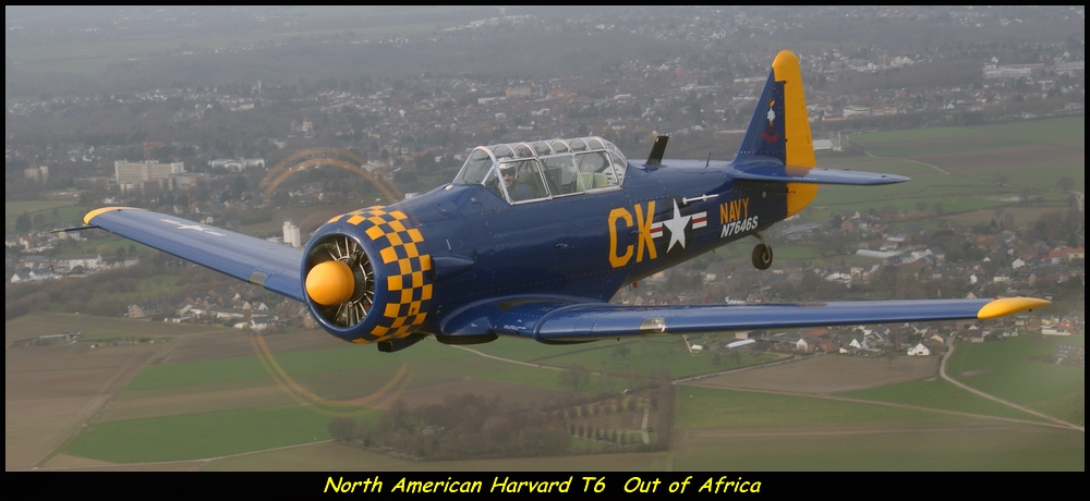 Harvard T6 Out of Africa
