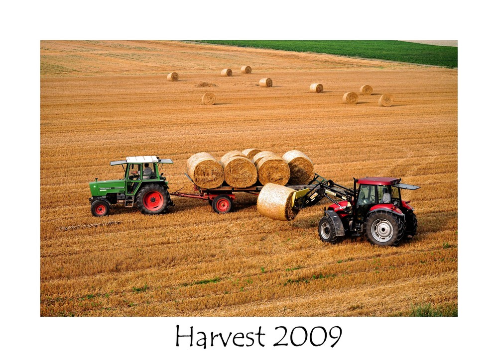 Harvest 2009 (2)