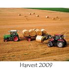 Harvest 2009 (2)