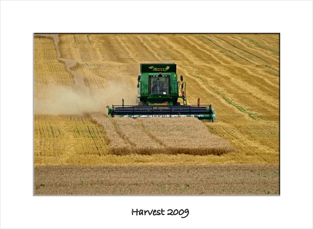 Harvest 2009