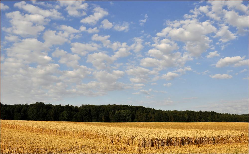 Harvest