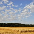 Harvest