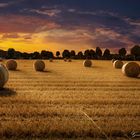 Harvest-Bales-of-Straw