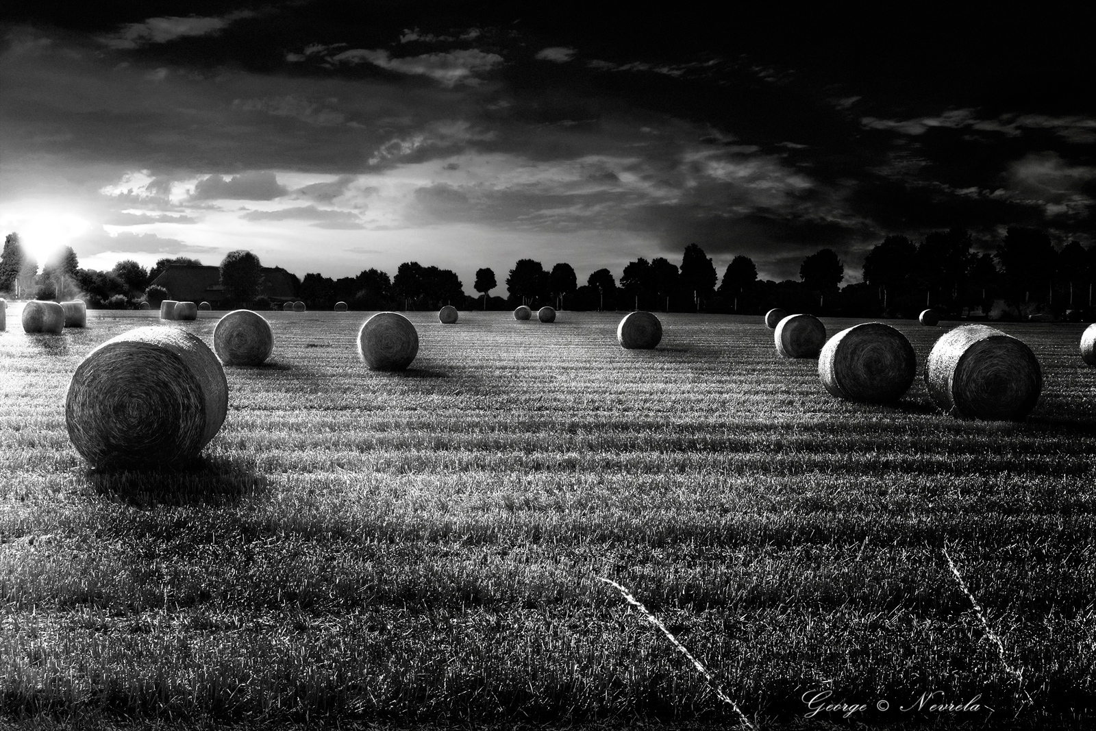 Harvest-Bales-of-Straw-bw