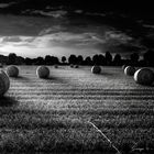 Harvest-Bales-of-Straw-bw