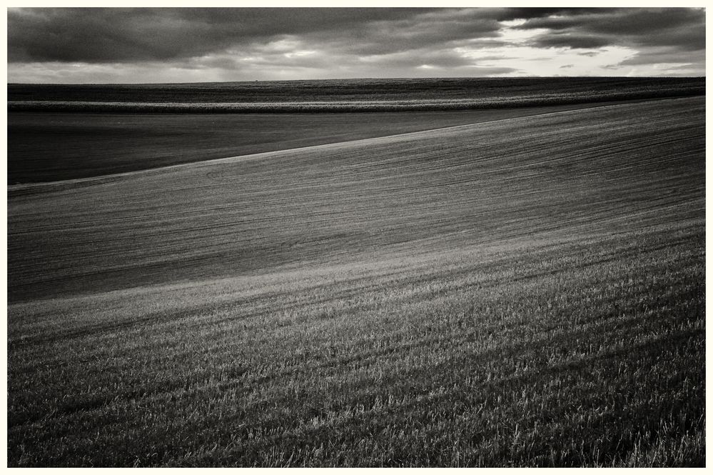 Harvest Fields