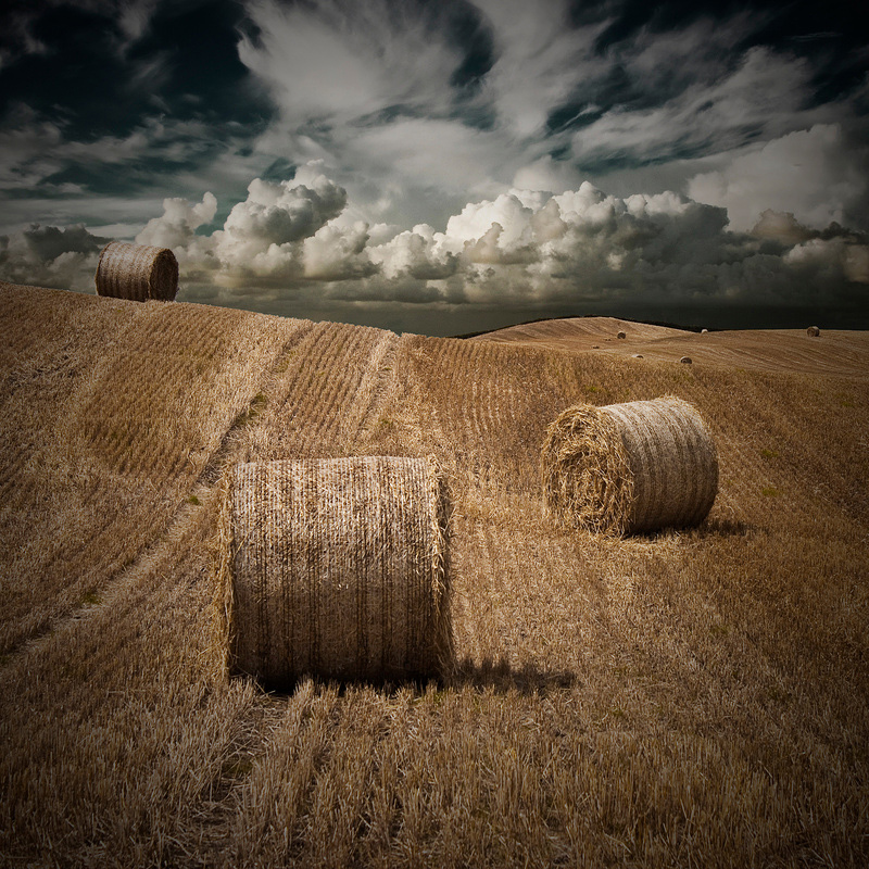 Harvest in Northern Ireland "coloured"