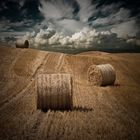 Harvest in Northern Ireland "coloured"