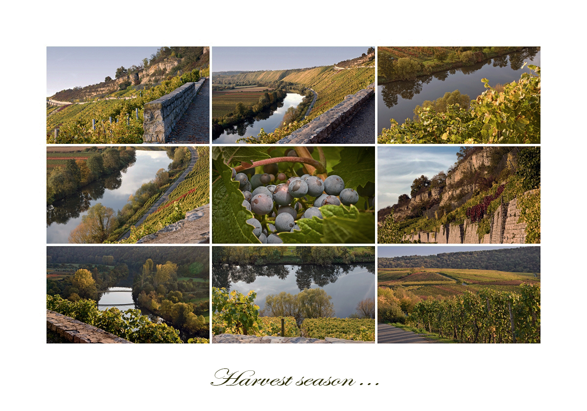 Harvest in the valley of the "Neckar"-river...