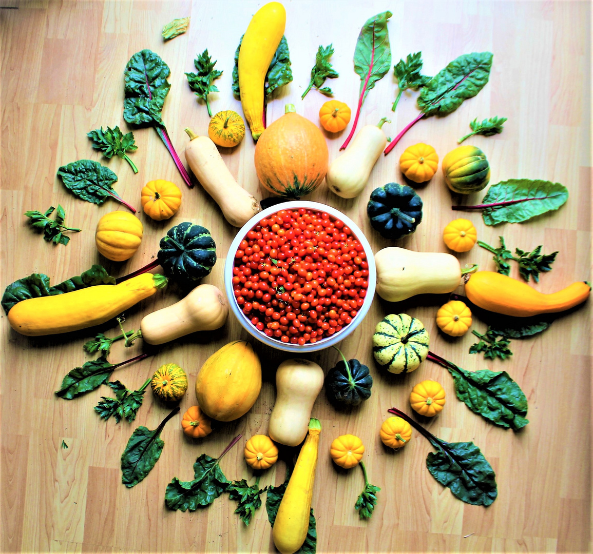 Harvest-Mandala (Letzte Ernte aus dem Bio-Garten)