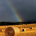 Harvest Rainbow