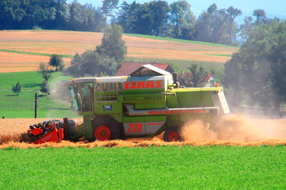 Harvest Time