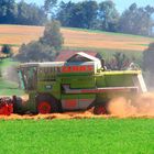 Harvest Time