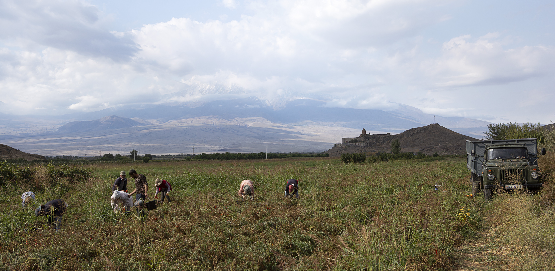 [ … harvest time ]