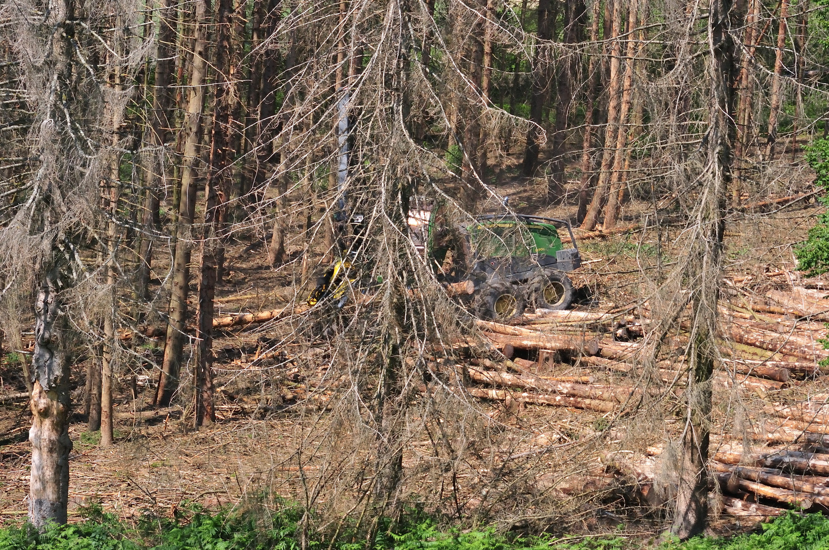 Harvester bei der Arbeit