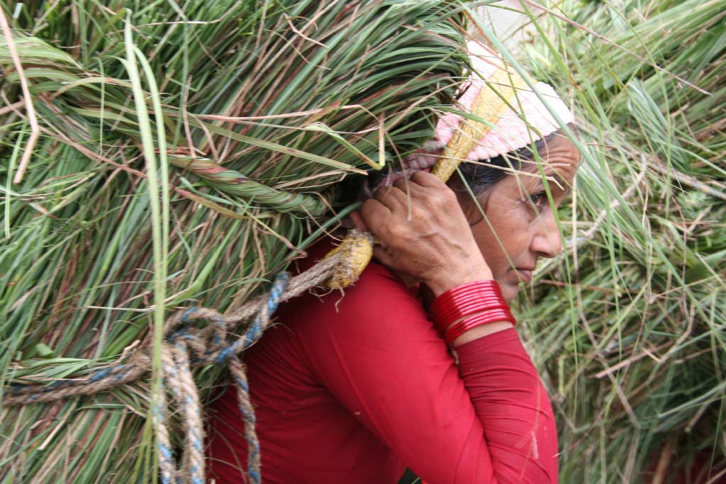 Harvesting