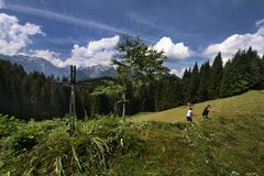 Harvesting of hay