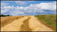 Harvest's just begun