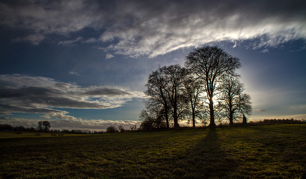 Harwick Hall park