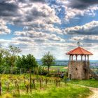 Harxheimer Weinbergsturm