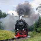 Harz 1