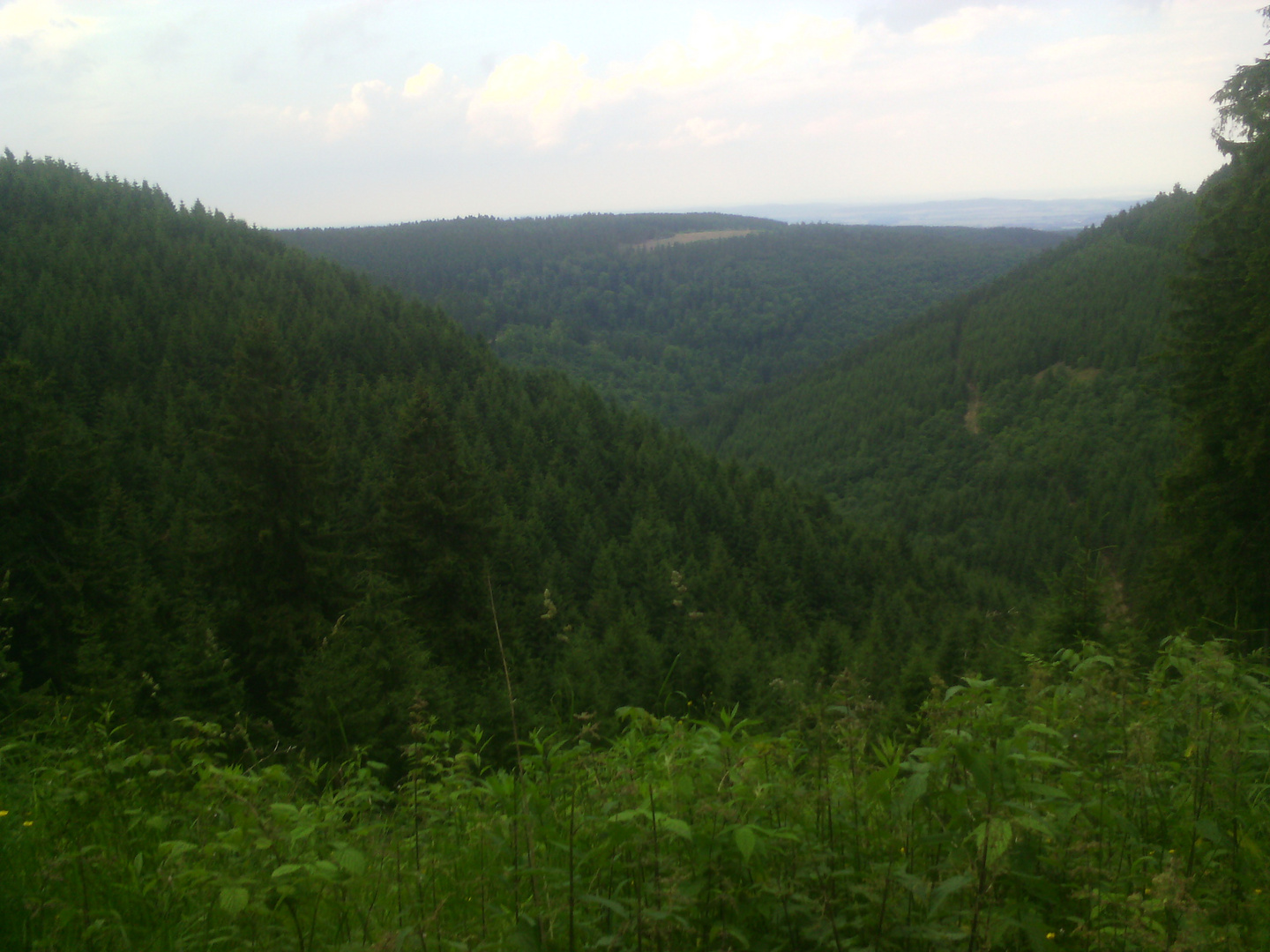 Harz 1