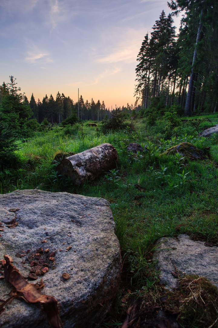 Harz 1