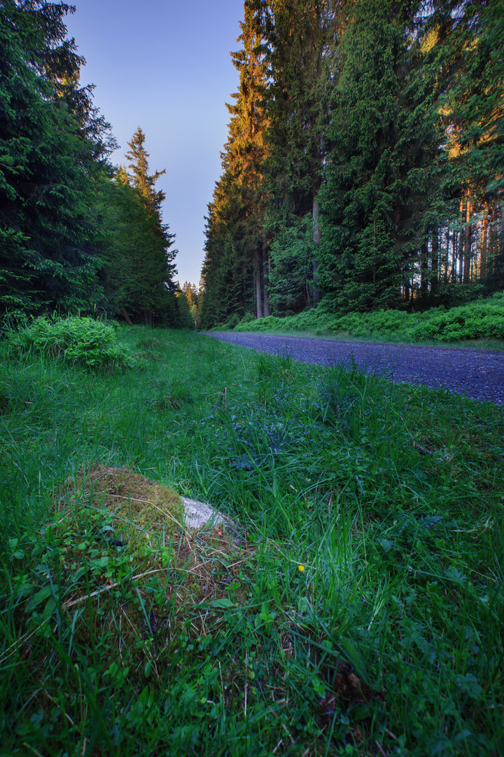 Harz 10