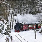 Harz 2005 IV