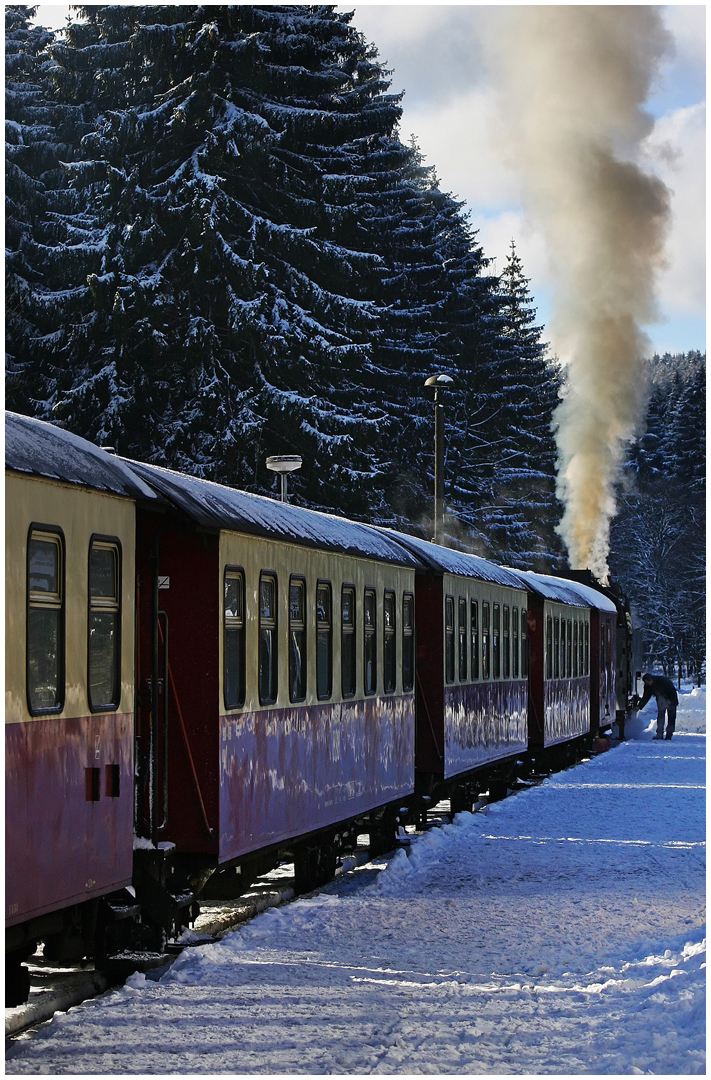 Harz 2005 XIX