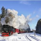 Harz 2005 XVII