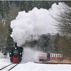 Harz 2007 XLIV