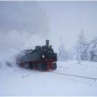 Harz 2007 XXVII