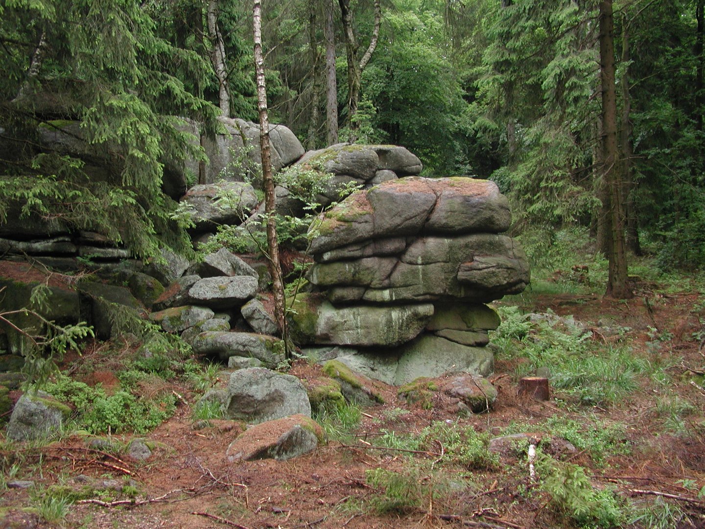 Harz 3