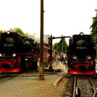 Harz 4