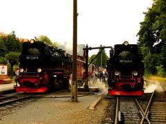 Harz 4