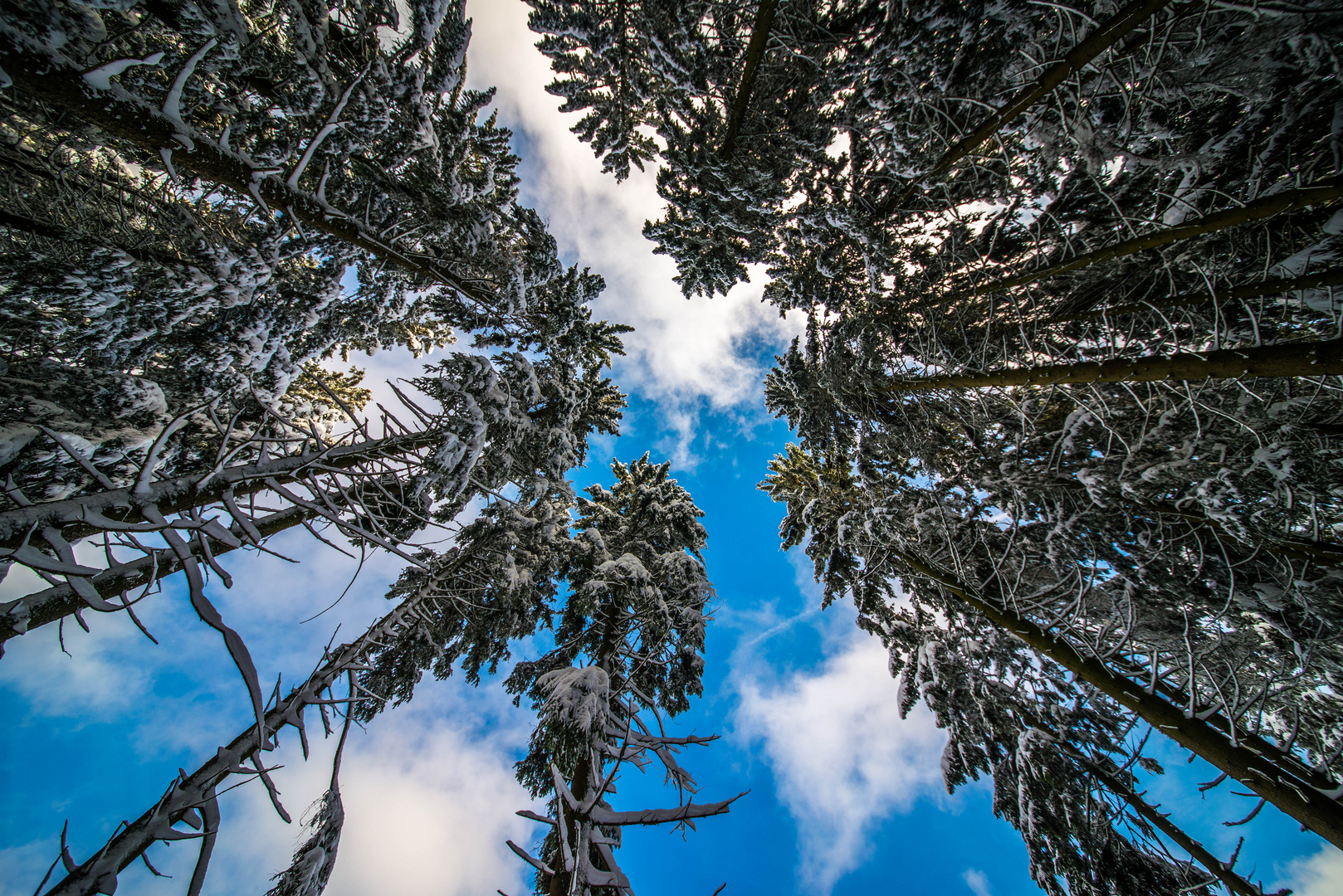 Harz