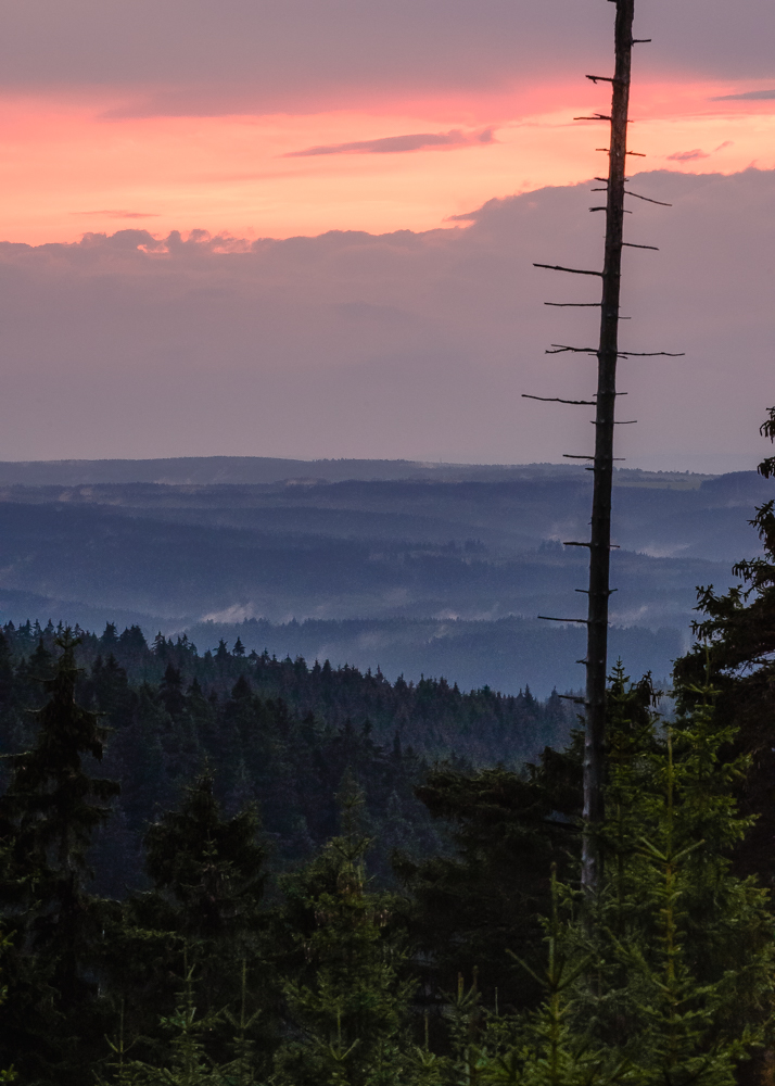 Harz