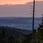 Harz