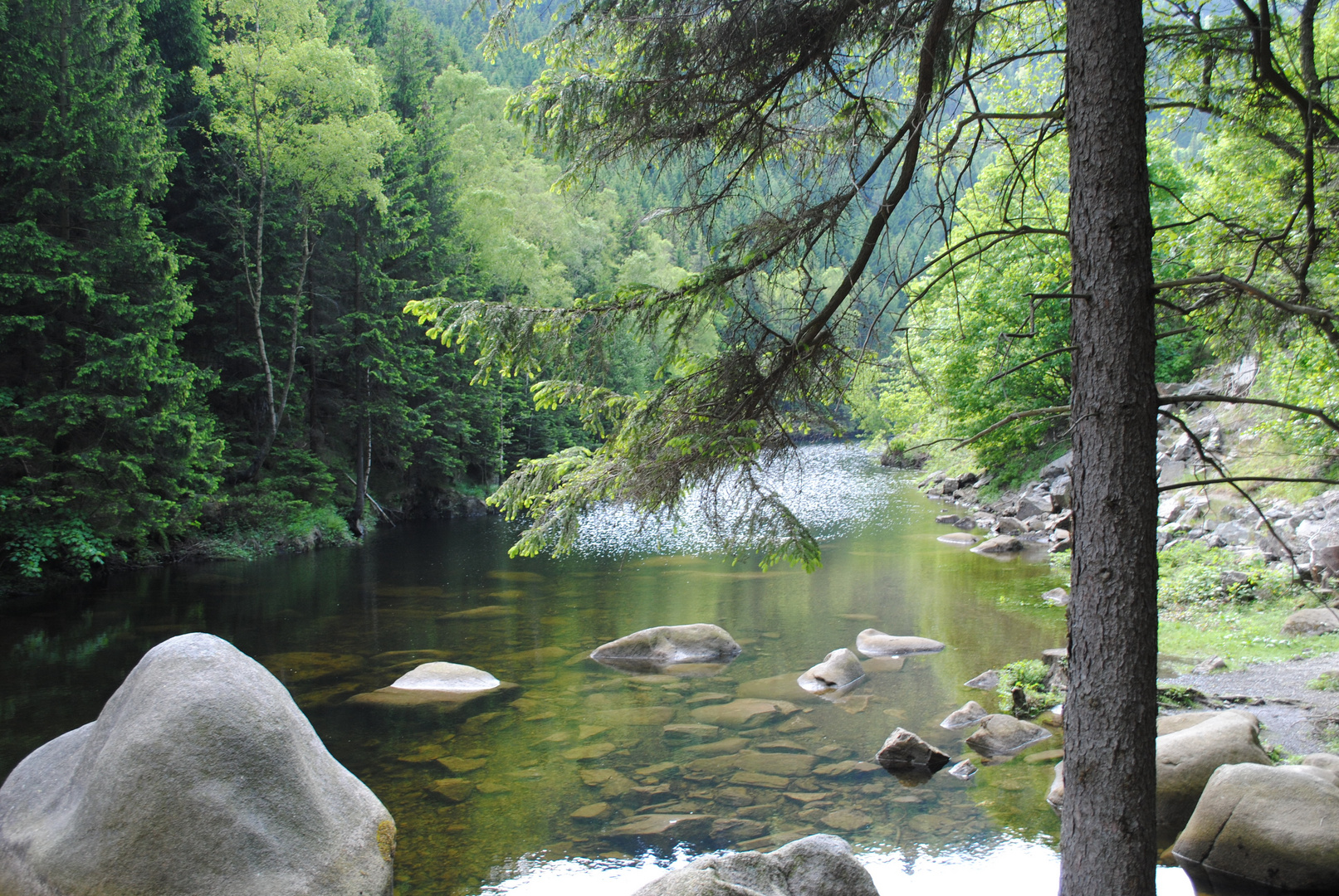 Harz