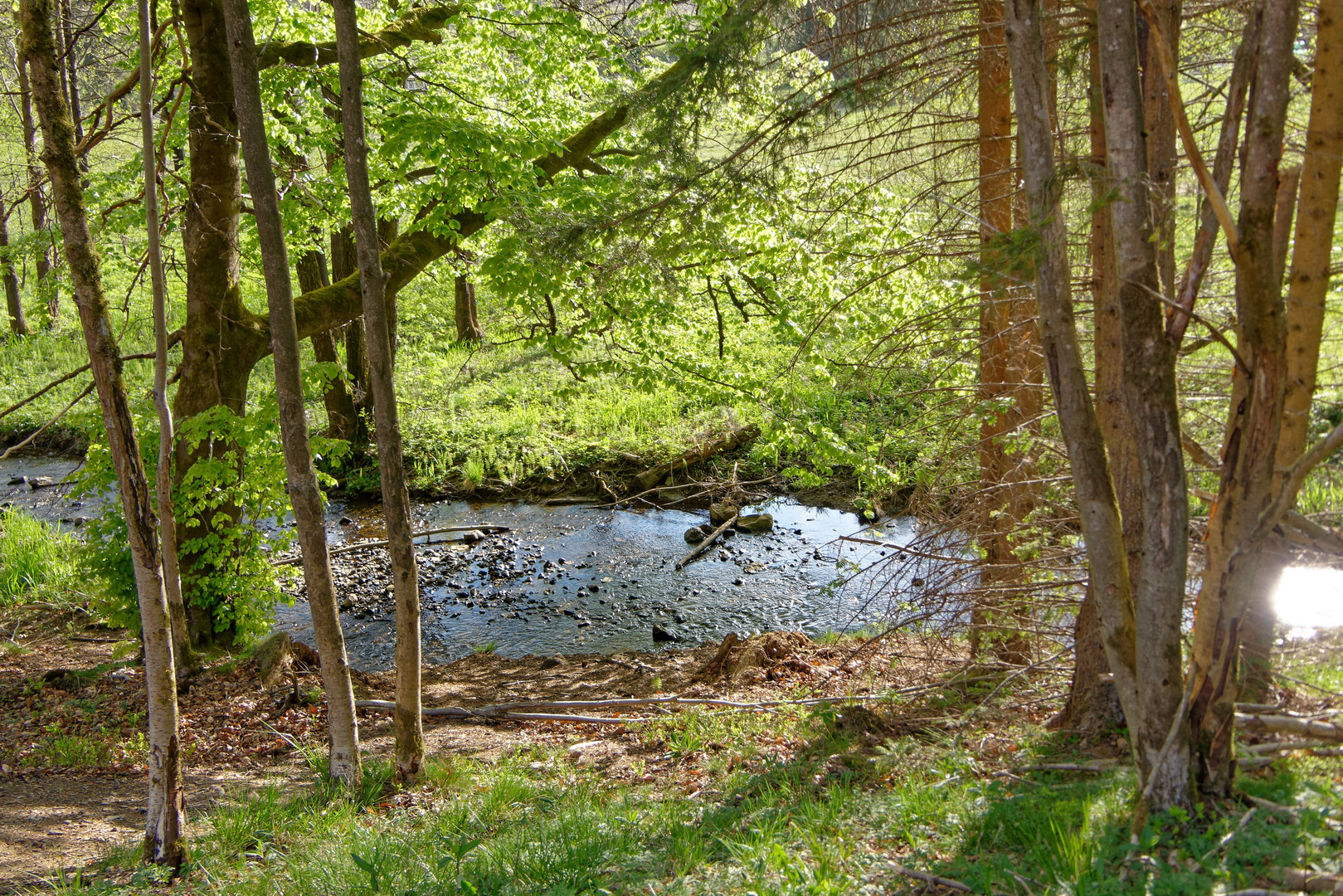 Harz