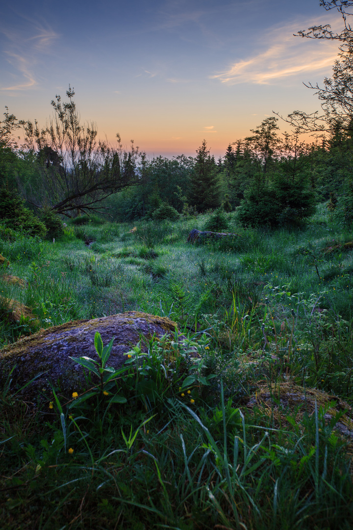 Harz 8