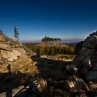 Harz