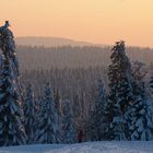 Harz