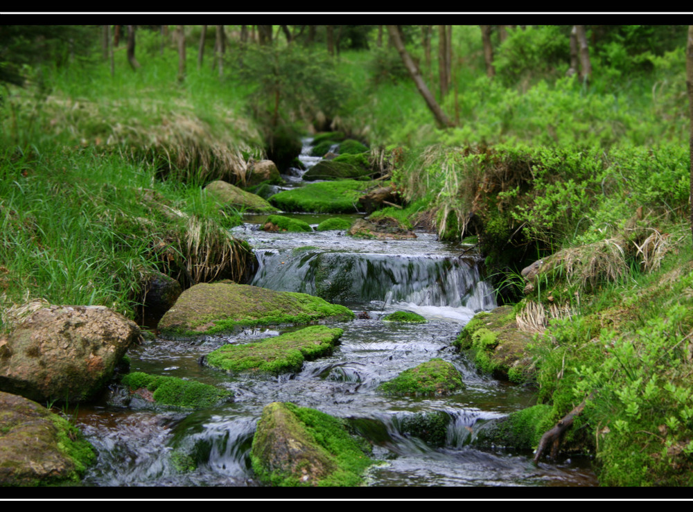 Harz