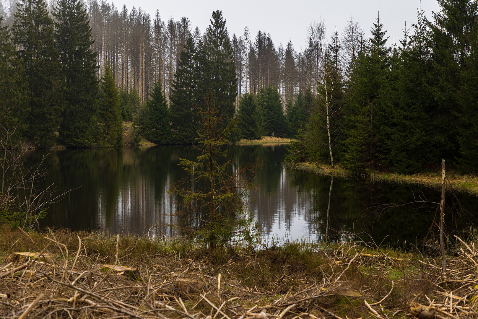 Harz