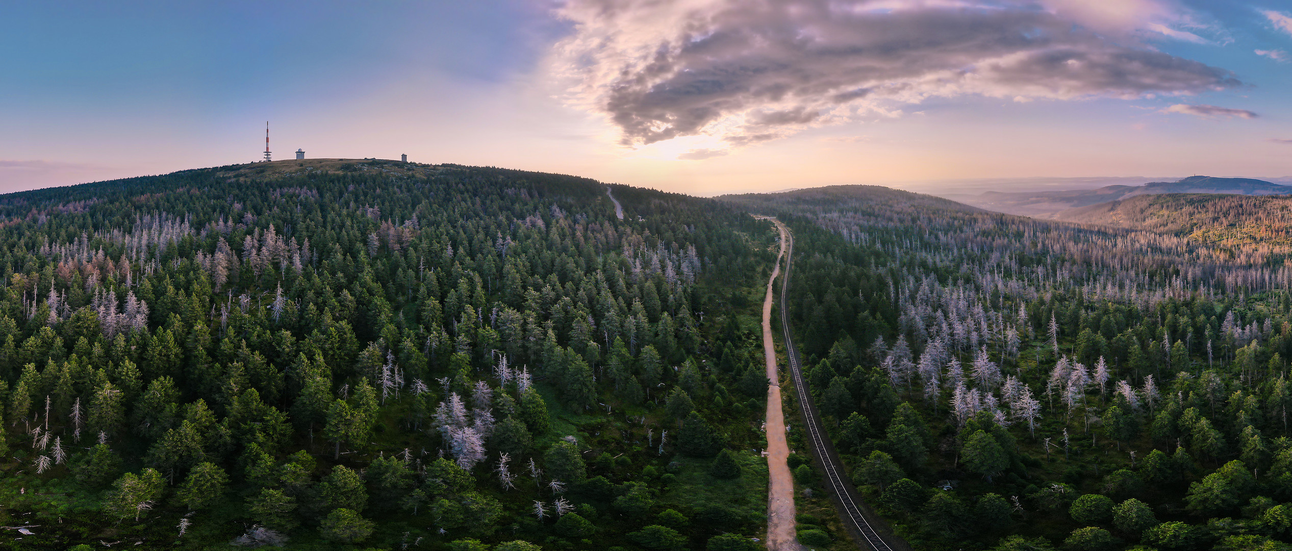 Harz