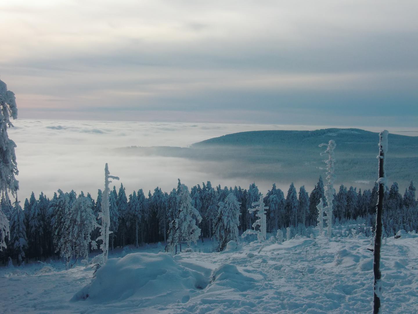 Harz